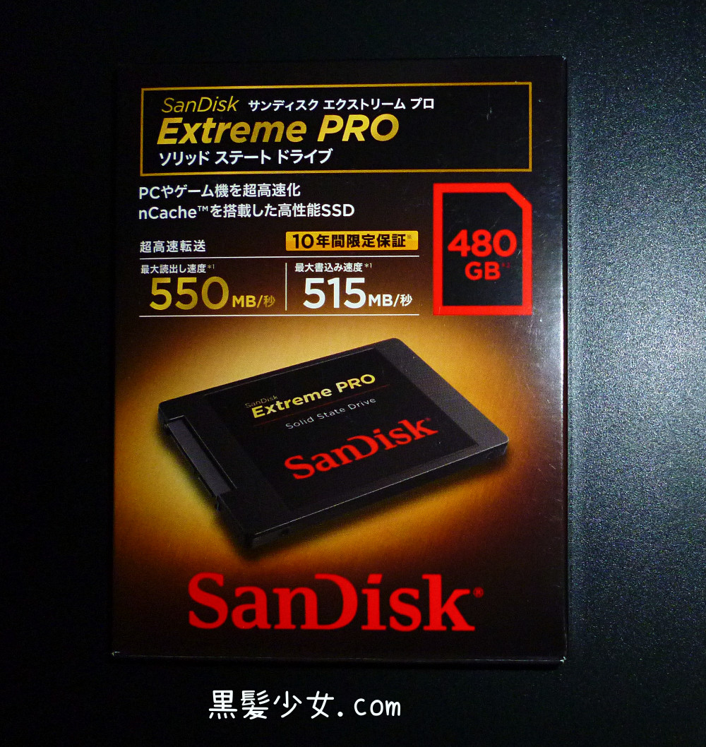 駅プロ480GBを買ってSSDデビューする　[SanDisk SSD Extreme PRO]